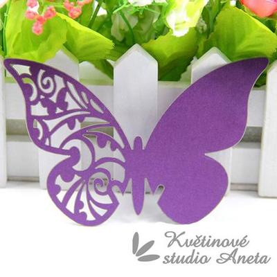 Jmenovka motýlek fialový s perletí - Obrázok č. 1