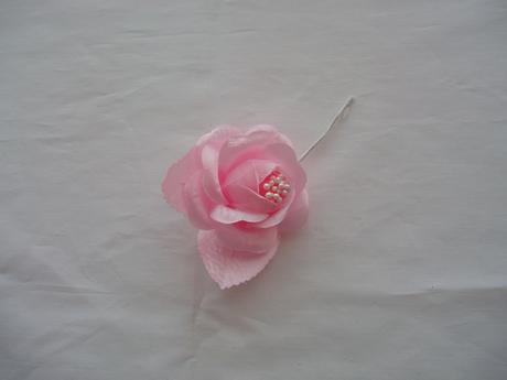 růže-růžová - Obrázok č. 1