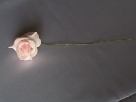 Růžové pěnové růže - Obrázok č. 1