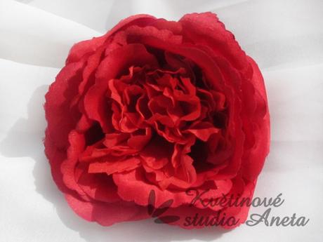 Květ růže červený Mary Rose - Obrázok č. 1