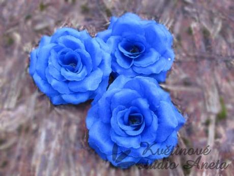 Květ růže tmavě modrý - Obrázok č. 1
