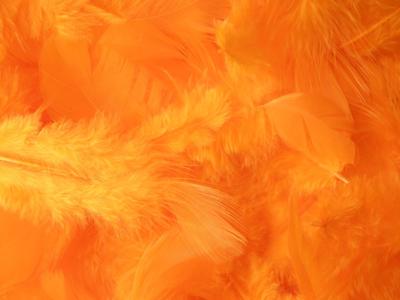 Peří oranžové - Obrázok č. 1