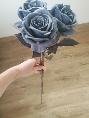 Modré růže - Obrázok č. 1