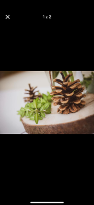 Dřevěné suky - Obrázok č. 1