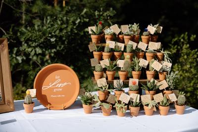 Svatební kytkodárky/rostlinky - Obrázok č. 1