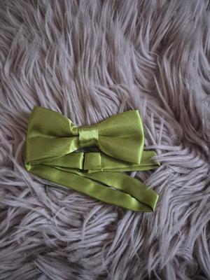 nový zelený motýlek - mech - Obrázok č. 1